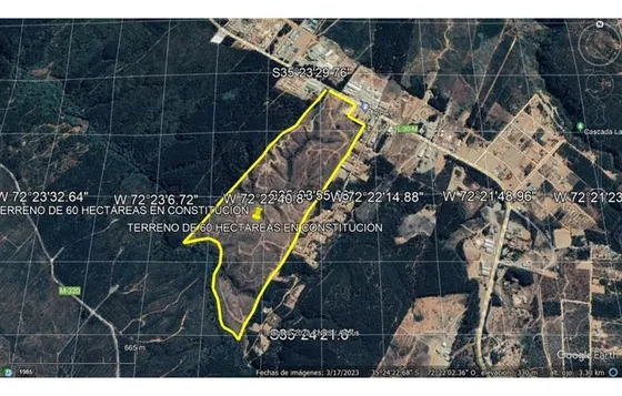 Excelente!! Terreno De 60 Hectáreas En Constitución, Región