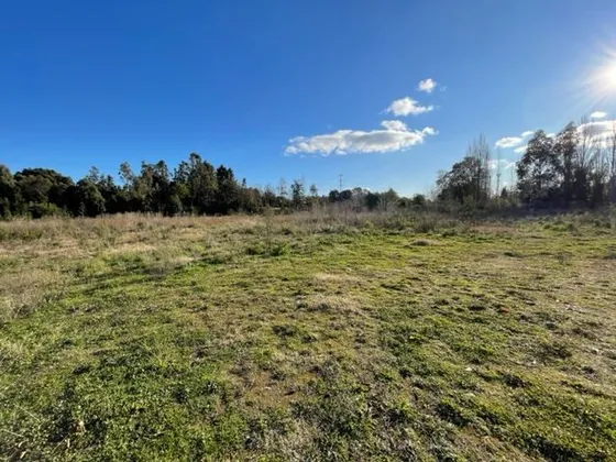 Agrícola En Venta En Valdivia