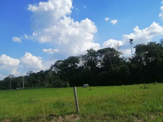 Venta De Finca En San José Del Guaviare 