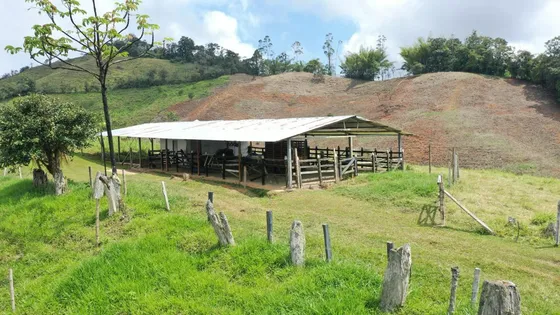 Vendo Finca Ganadera En Restrepo Valle