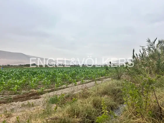 44 Hectáreas En Lluta
