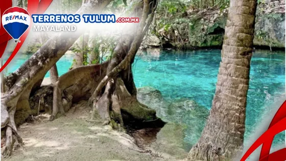 Cenote Con 17.5 Hectareas Con Frente De Carretera