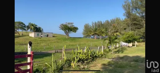 Venta Terreno 0 Ambiente Monte De Oro