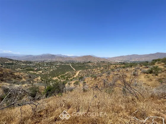 Sitio En Venta En Curacaví