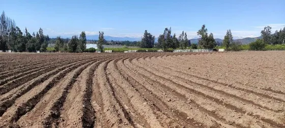 Oportunidad!!! 6 Hectáreas Agrícolas , En Naltagua