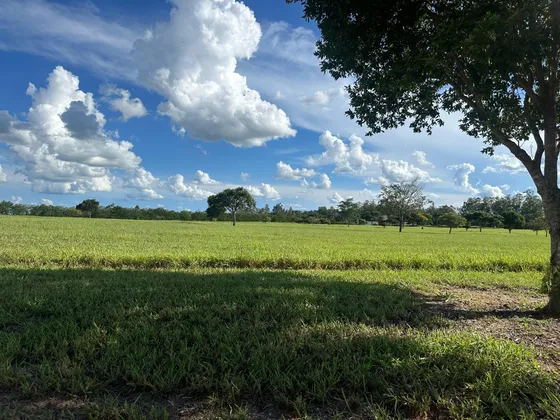 Terreno Em Condômino Fechado  - Terras De Santa Cristina V - Cidade De Paranapanema - Sp