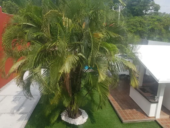 Casa En Venta En Temixco, Morelos