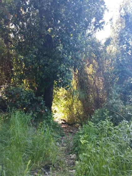 Un Lugar Soñado Donde Hay Que Vivir