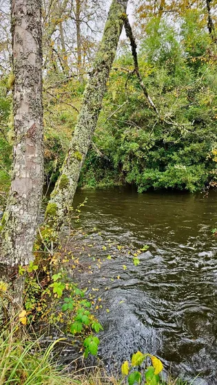 Hermosas Parcelas Con Acceso A Río Rol Propio (100401)