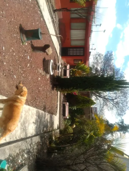 Terreno Amplio, Prácticamente Sin Construcciones.