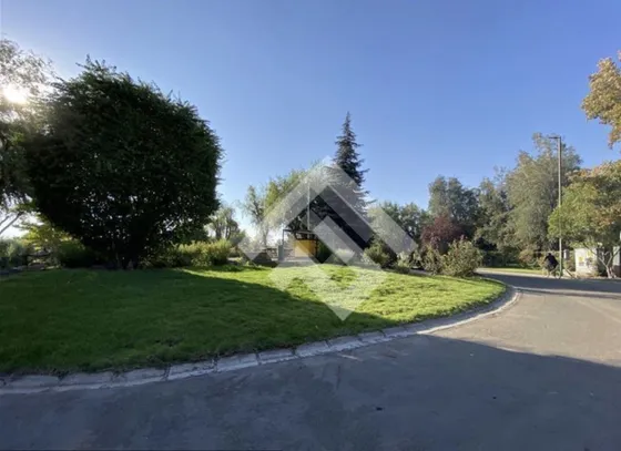 Sitio En Venta En Chicureo Centro