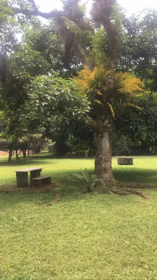 Coatepec Veracruz Bellisimo Terreno, Ideal Para Desarrolladores.
