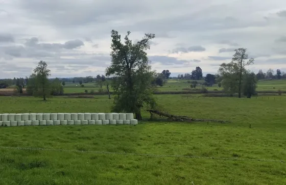 Venta De Parcelas En Sector Los Esteros