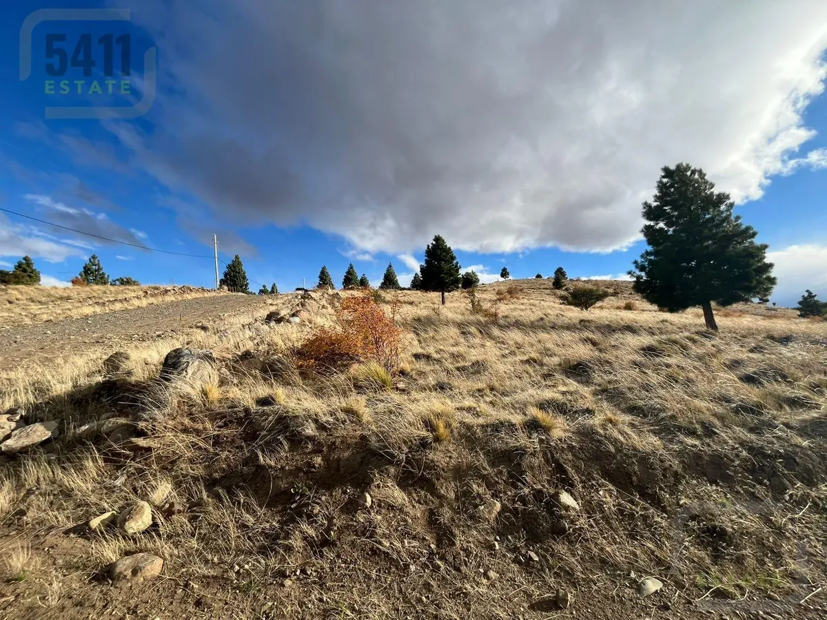 Land for Sale: Surveyed Lot Development in Trevelin, Chubut
