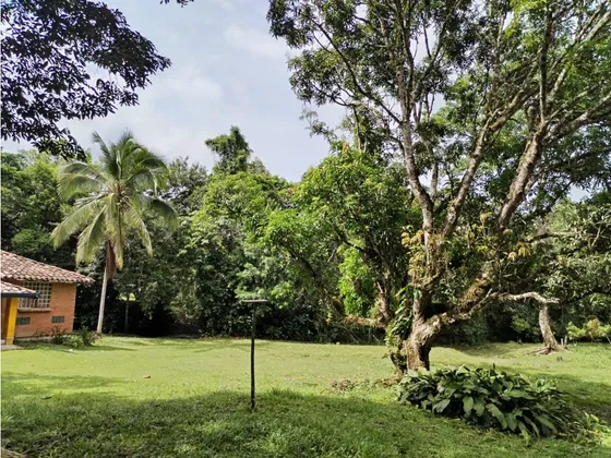 Finca En Venta, Sector San Pablo, San Luis 
