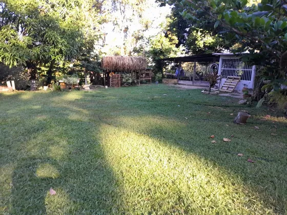 Cf Vende Finca De 12 Hectáreas, Vía Manuare.  Carlos Arvelo - Tacarigua. Carabobo.