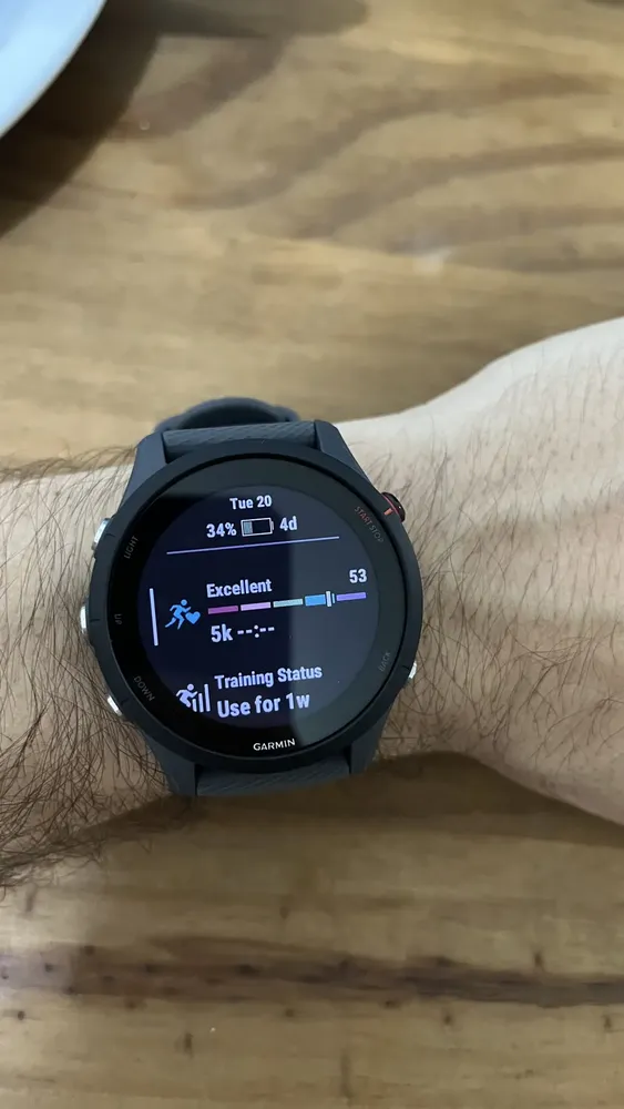 Garmin Forerunner 255 Smartwatch Esportivo Tidal Blue com GPS