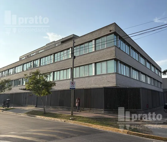 Excelente Oficina En  Alquiler