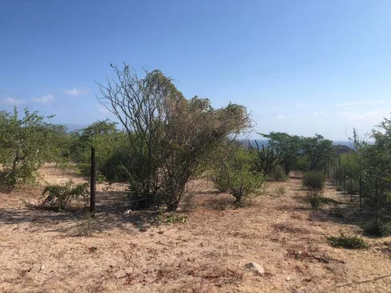 El Jardin Lot, El Sargento, Bcs