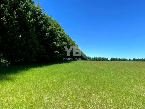 Venta De Parcelas Villarrica-loncoche