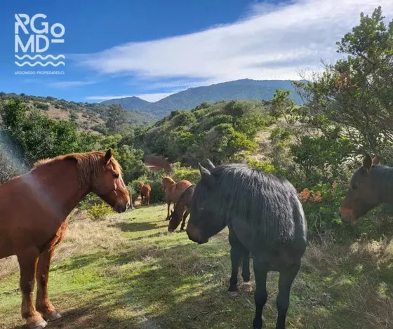 Sitios En Cerros De Cachagua