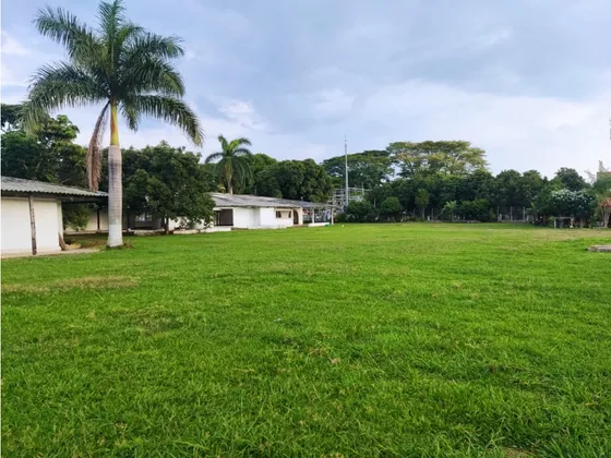 Lote En Venta 2 Hectáreas Urbanizable Vía Principal Pradera-palmira