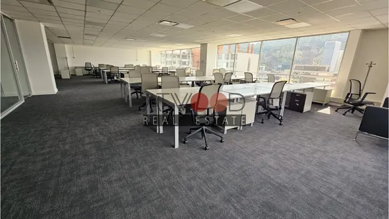 Amoblada - Oficina 435 M2, 50 Puestos