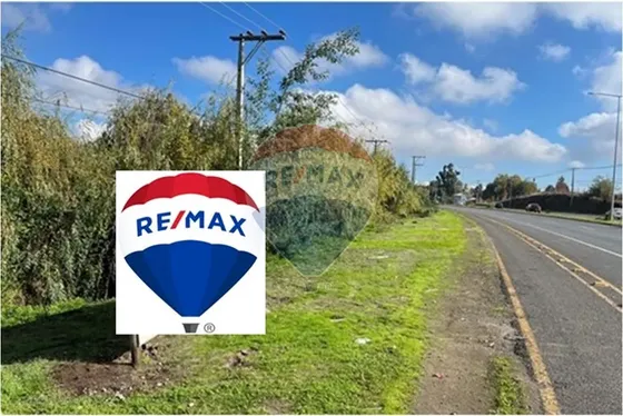 Se Vende 20,2 Ha Santa Maria Huilquilemu Talca