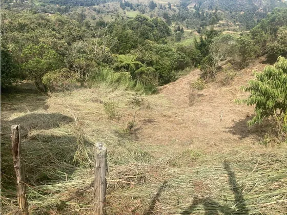 Lote Independiente En Venta Guarne, Vereda La Honda