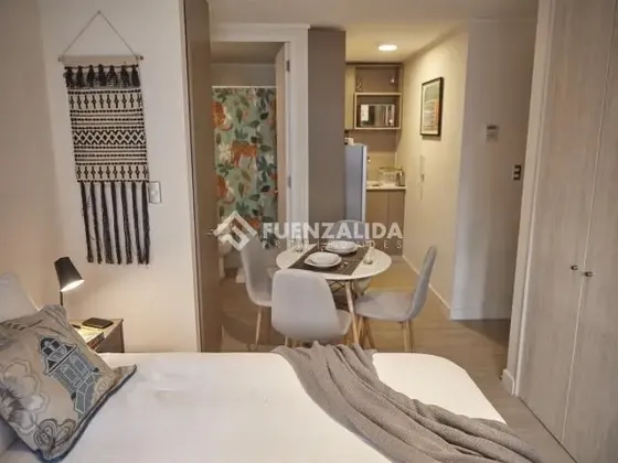 Departamento En Venta De 1 Dorm. En Santiago