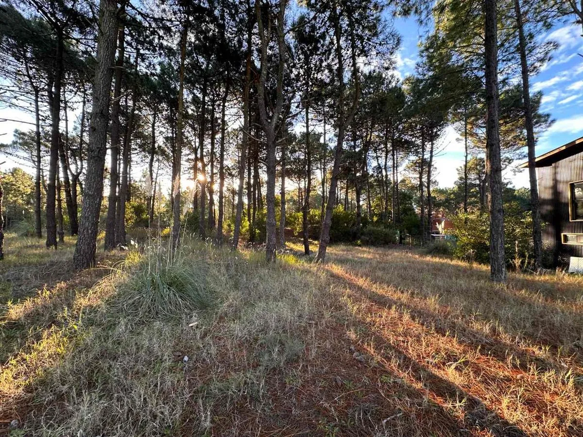 Venta Lote Pinamar Norte 