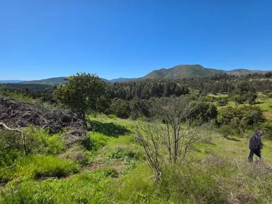Veridika Vende Terreno En Mantagua De 5.000m2.