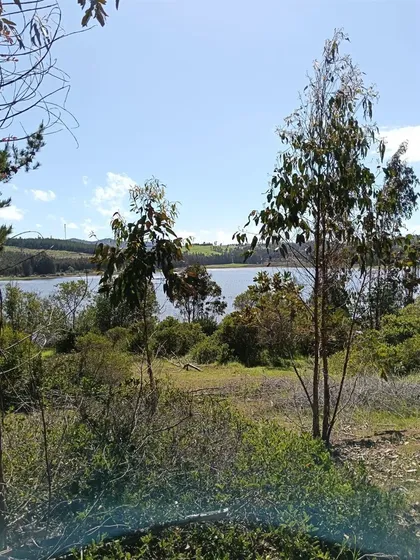 Parcelas En Boyeruca Con Vista A Salinas Lo Valdivia 5.000m2