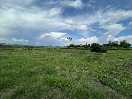Se Vende Lote Ubicado Vía Entre La Tebaida - La Herradura