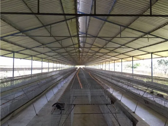 Granja Productiva Multipropósito,  29.9 Has. Venta A Puerta Cerrada ,