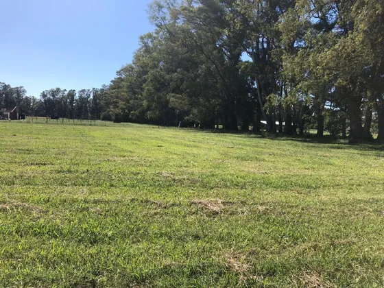 Lote A La Venta En Chacras De San Andres