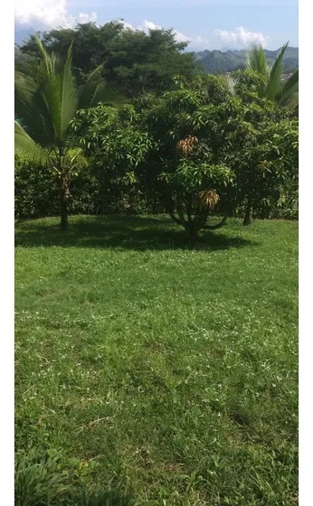 Venta De Casa Campestre Km 48, Vereda Palermo