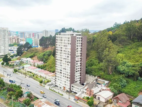 Departamento En Venta En Pedro De Valdivia