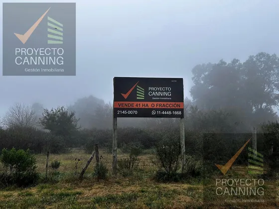 Campo En  Alejandro Petión, Partido De Cañuelas