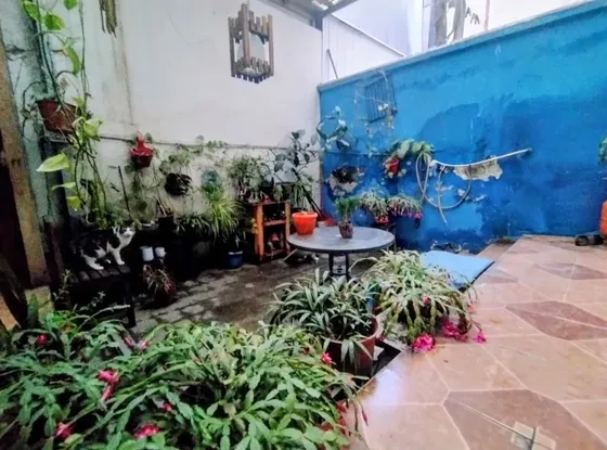 Parque Ohiggins Con Jardin