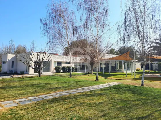 Mediterránea Luminosa | Piscina Y Gran Jardín | Chicureo