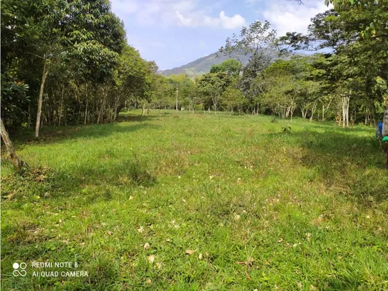 Espectacular Lote En Parcelación De Barbosa