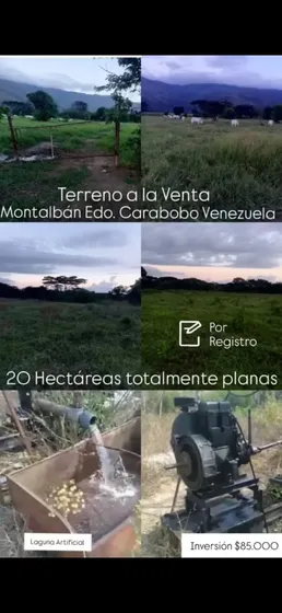 Tree002 En Venta 20 Hectareas De Terreno Productivo En Montalban Con Laguna