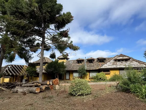 Propiedad Con Gran Potencial Camino Cerro Colorado
