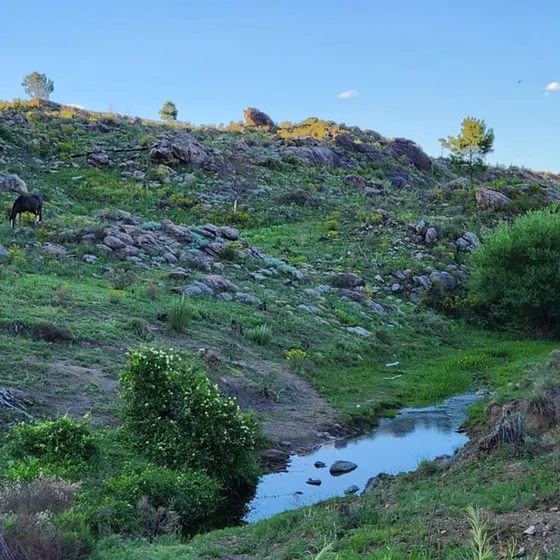 Campito De 15 Ha En Villa Yacanto (con Vertiente Y Arroyo)