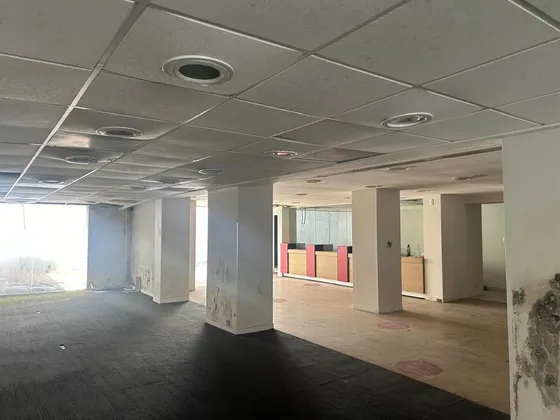 Polanco Local Comercial En Renta