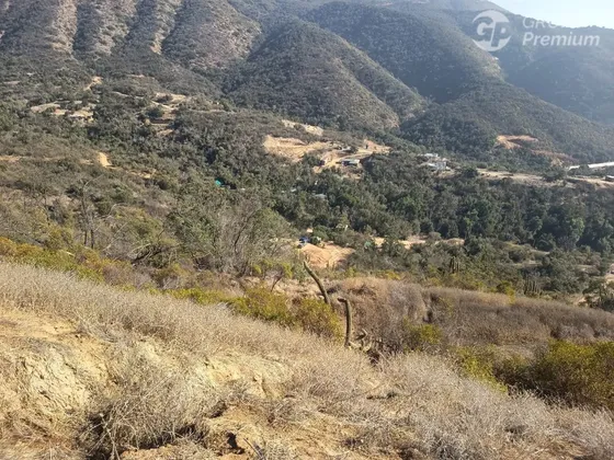 Parcela En Venta 5000m2 En Curacaví