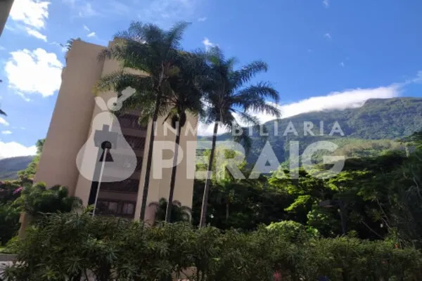 Venta/ Ph/ Los Palos Grandes A Pie Del Ávila/ 5h/7b/5pe 750 M² /ref 800.000 Ab