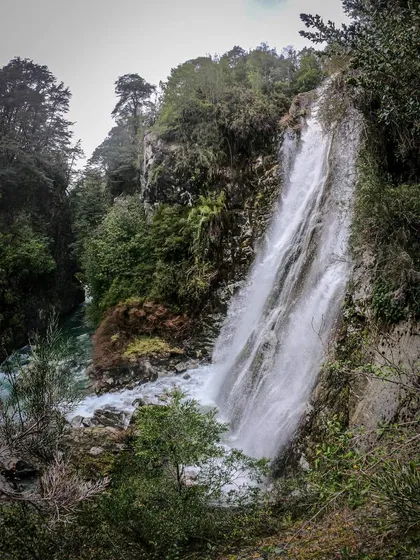 Campo Sector Huerquehue, Termas Rio Blanco