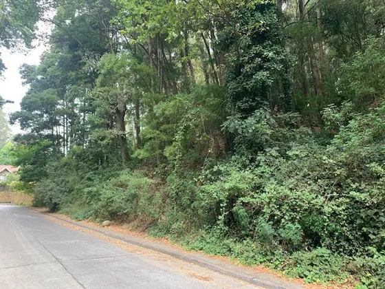 Terreno De Aprox 3.095 M2 En Cerro La Virgen, Concepción